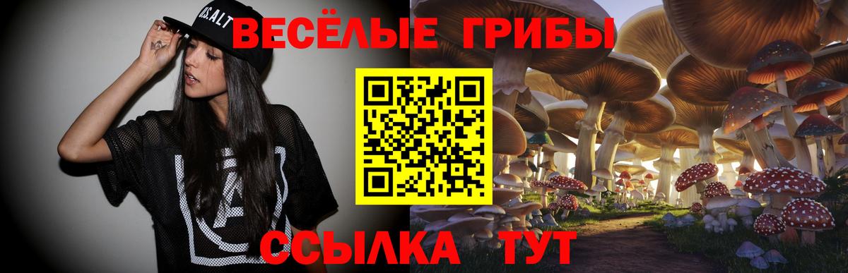 Псилоцибиновые грибы прущие грибы  Вход с VPN  Михайловка 